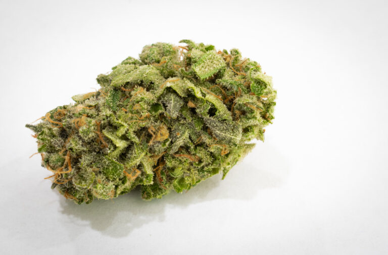 cannabis bud